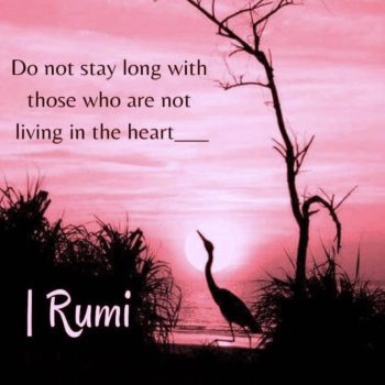 Rumi poetry