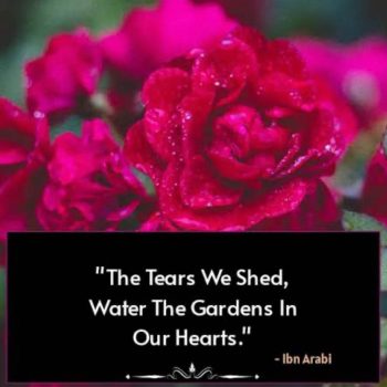 Rumi poetry