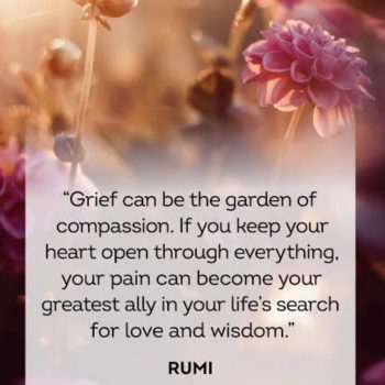 Rumi poetry