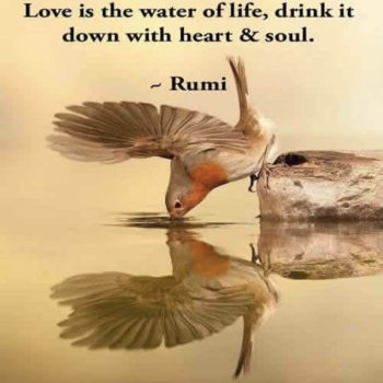 Rumi poetry