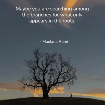 Rumi poetry